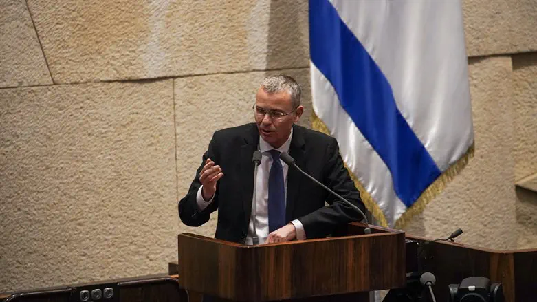 Minister Yariv Levin in Knesset