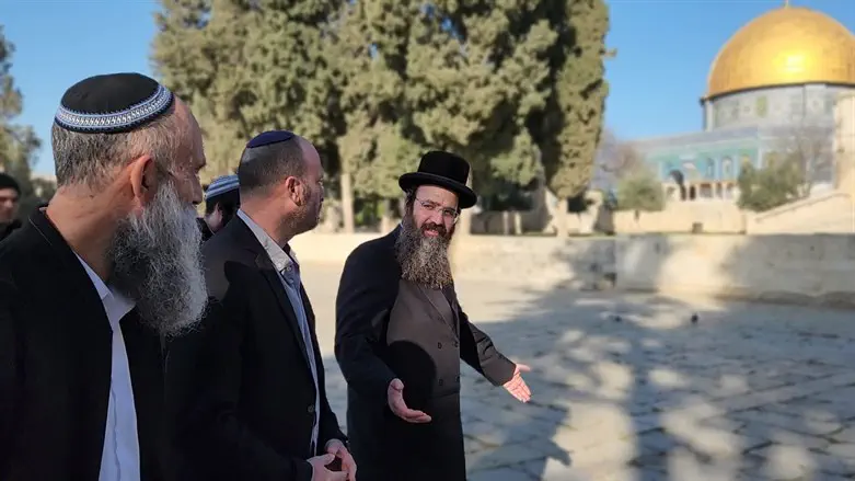 Jews visit the Temple Mount