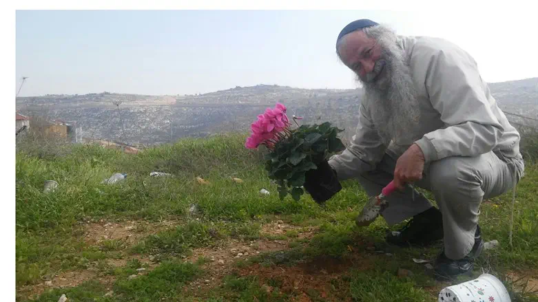 planting in Eretz Yisrael