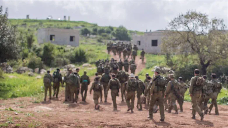 IDF reservists (Archive)