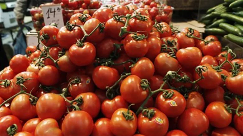 Tomatoes (file)