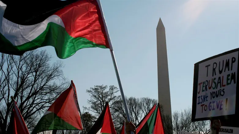 Anti-Israel protest in Washington (archive image)