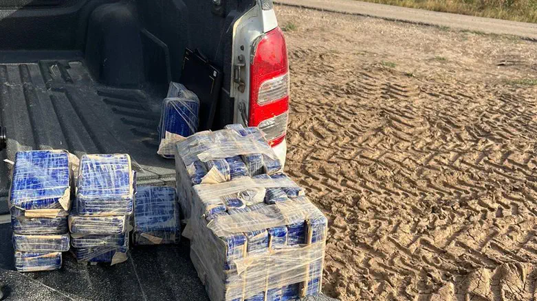 the seized drugs
