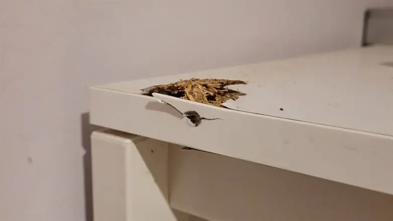 Ofra Lax's bedside table that was hit by the bullet