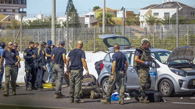 the arrest