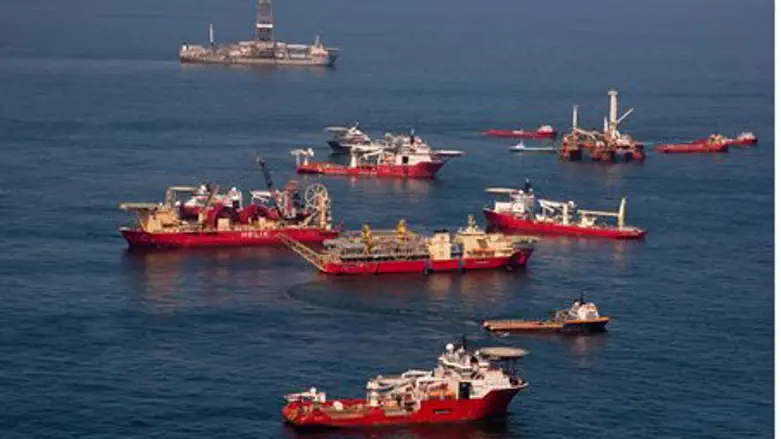Gulf of Mexico Oil Spill