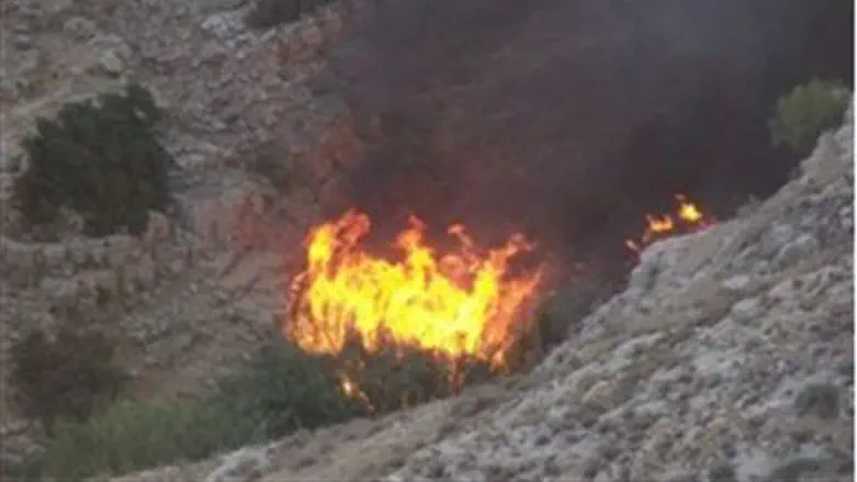 Fire at Mitzpe Danny 