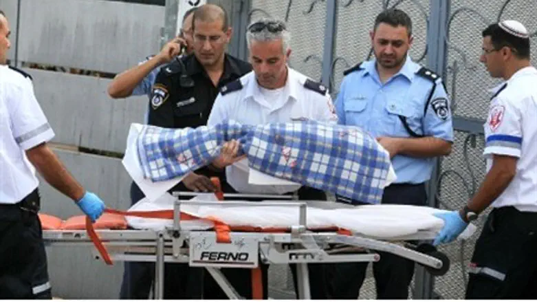 Medics evacuate Tali Dricova