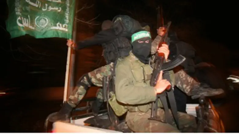 Terrorists