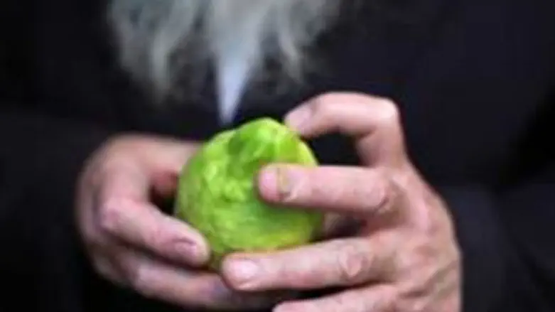 Etrog
