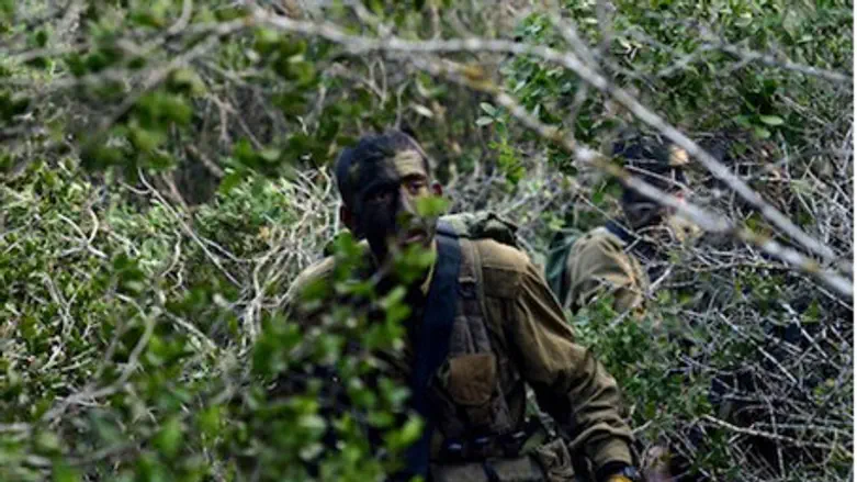 'Disappearing soldier'