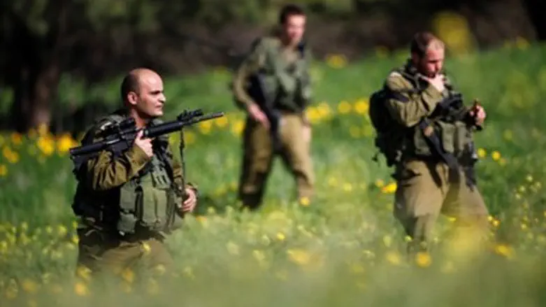 IDF force