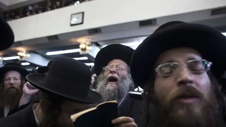 hassidim