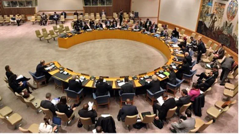 UN Security Council