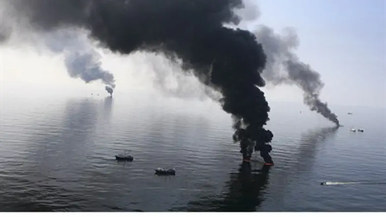 the 2010 oil spill in the Gulf of Mexico deva
