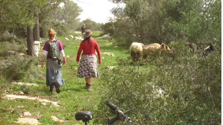 Shomron field trip
