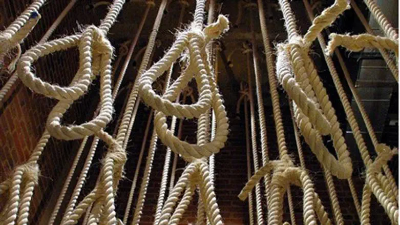 Many hanged for political crimes