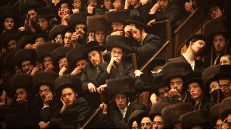 Belz hassidim
