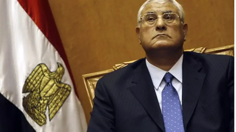 Adly el-Mansour