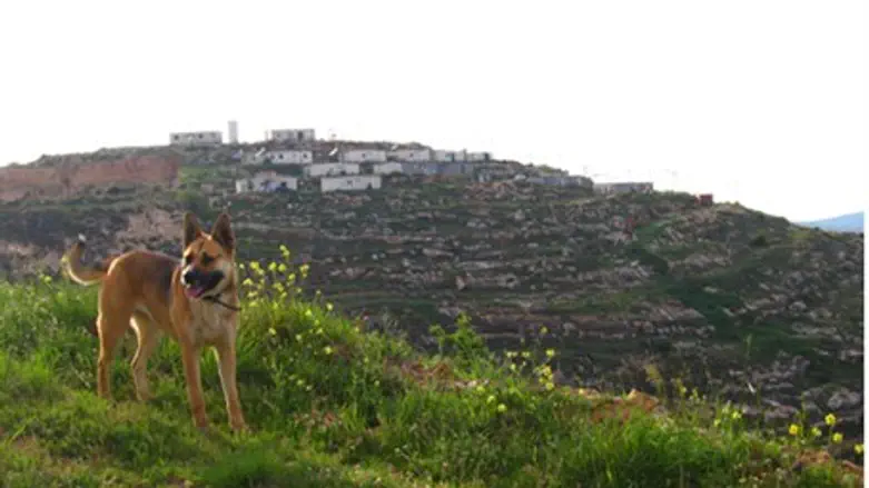 Givat Haroeh