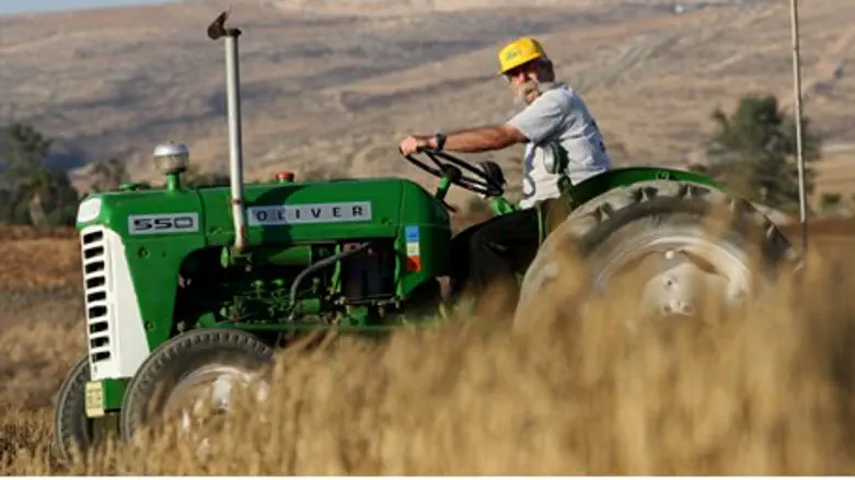 Man drivers tractor on Israeli kibbutz