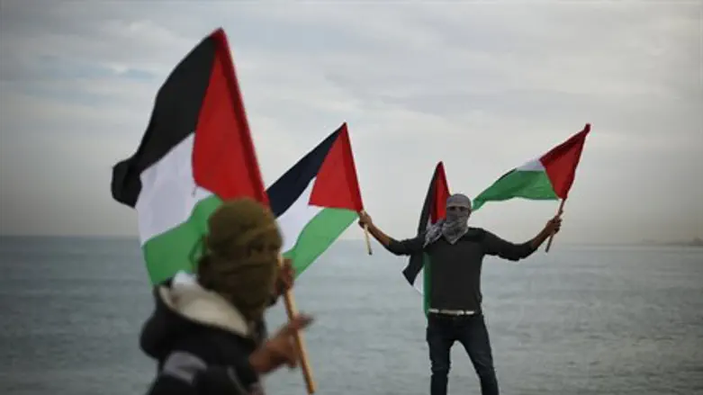 Radical activists on the Gaza "reverse flotil