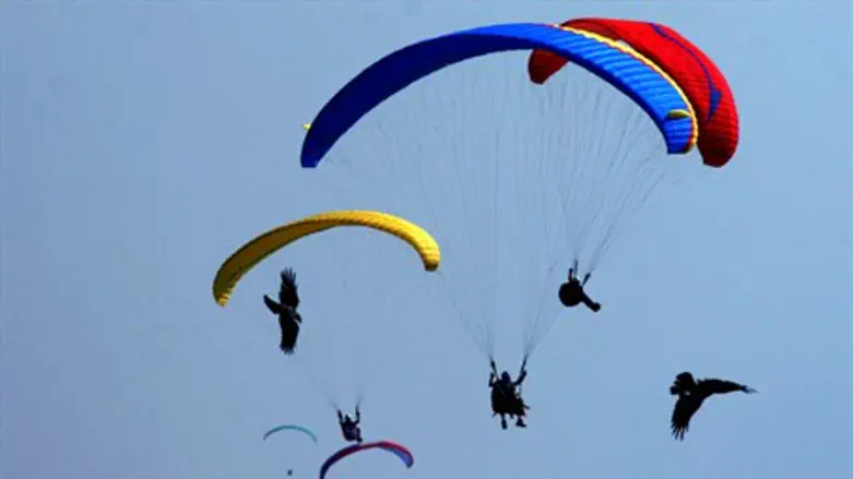 Israeli paragliders (file)