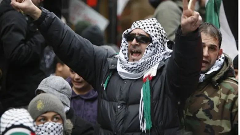 Attackers said their vicious attack was to "protest about the Palestinians" (file)
