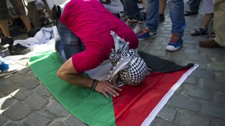 Pro-Palestinian protestor in Paris, France (file)