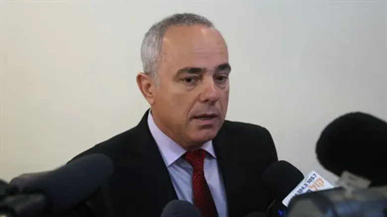 Yuval Steinitz