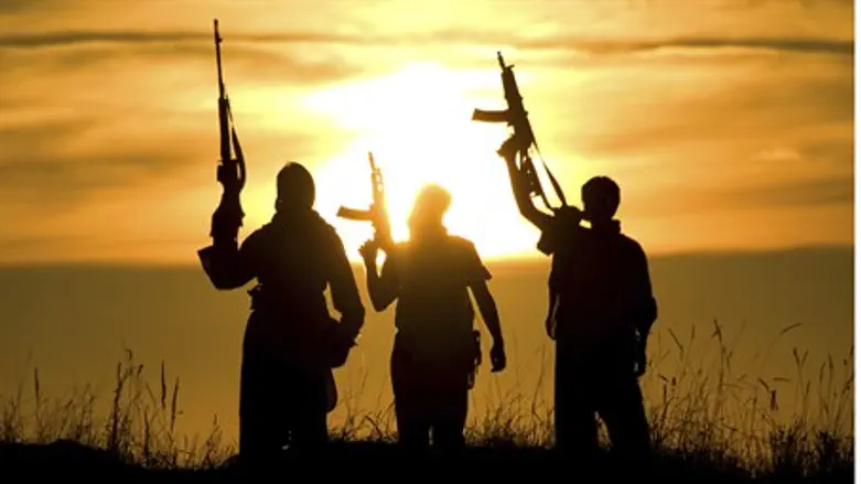 Jihadists (illustration)
