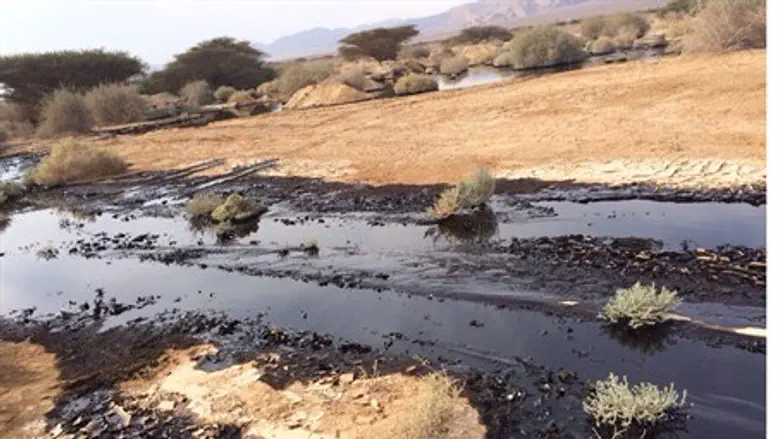 Arava oil spill