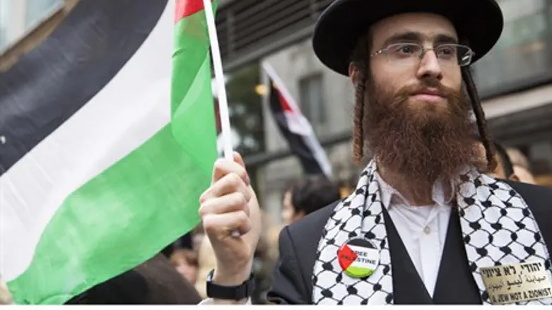 Neturei Karta member flies a PLO flag (file)