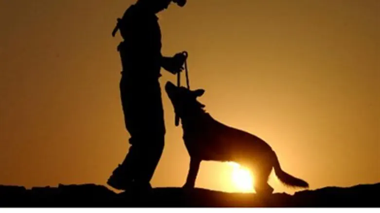 Soldier and dog (file).