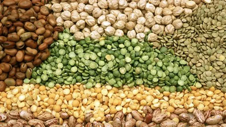 Legumes (kitniot)