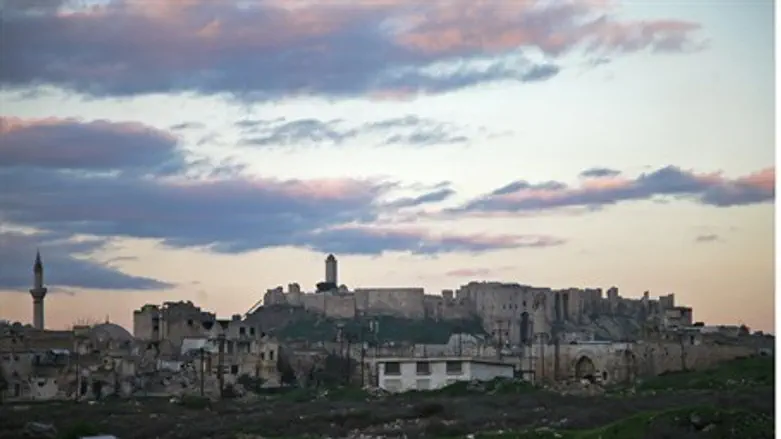 Aleppo's historic citadel