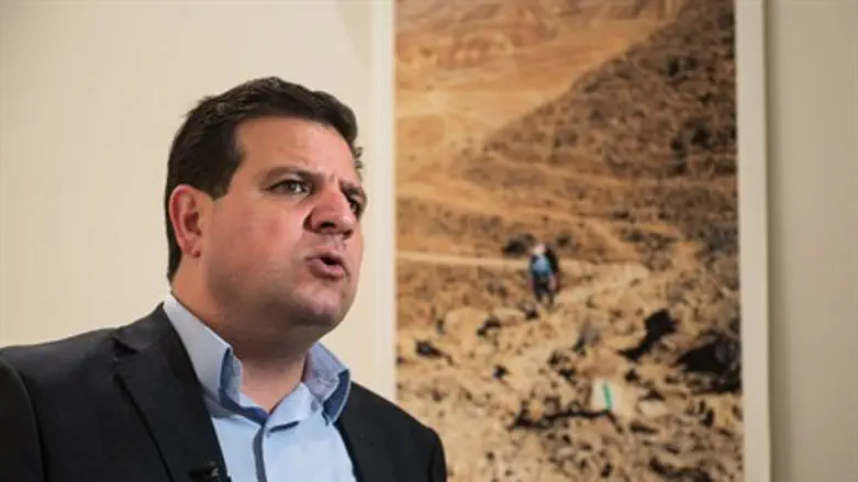 Joint Arab list head Ayman Odeh