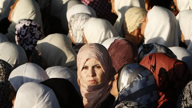 Muslim women (illustration)