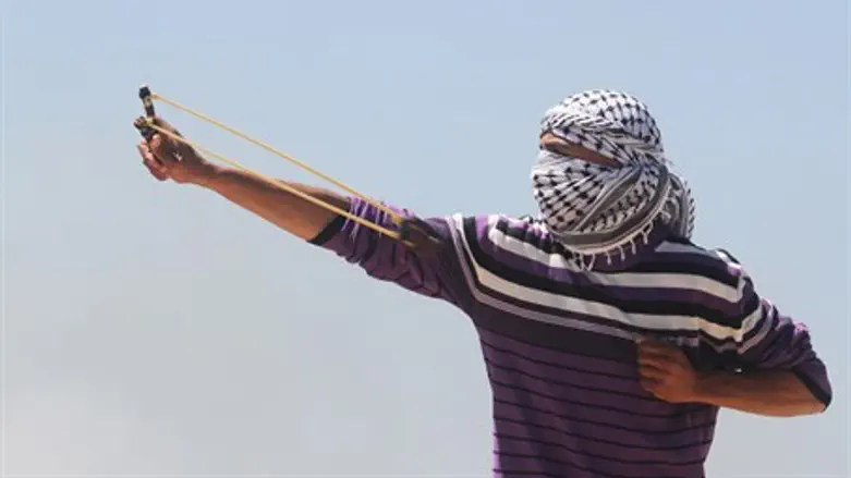 Rock throwing terrorist (file)