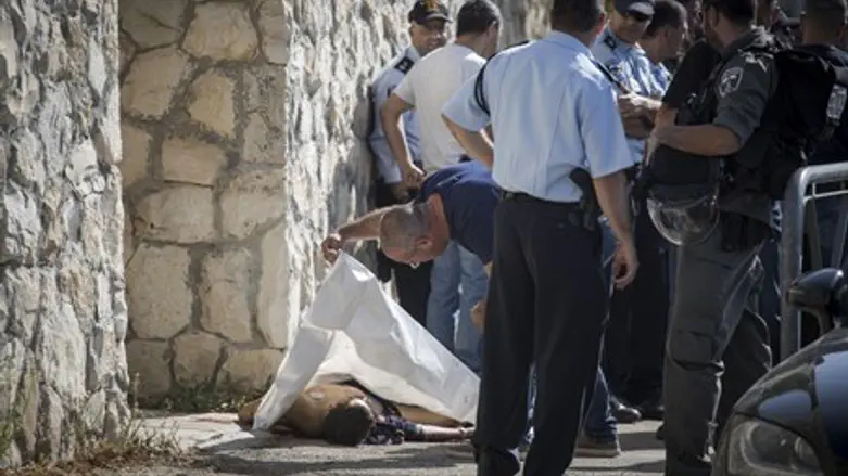 Arab stabber shot in Jerusalem's Armon Hanatziv (file)