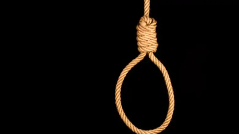 Noose (illustration)