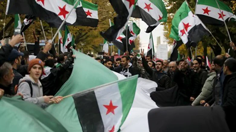 Syrian opposition flags in Germany (file)