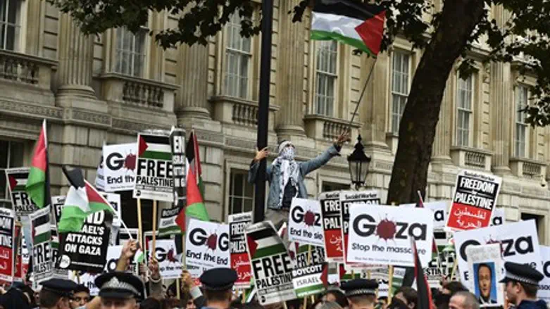 Anti-Israel demonstration (illustration)