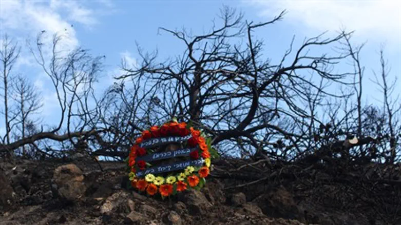 Memorial to victims of 2010 Carmel Forest Fire (file)