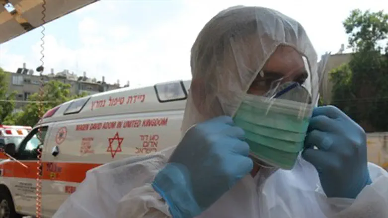 Swine flu (file)