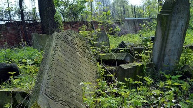 Abandoned Jewish cemetery in Poland (illustration)