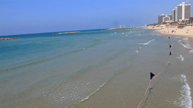 Beach (Illustration)