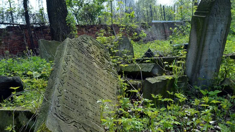 Abandoned Jewish cemetery in Poland (illustrative)