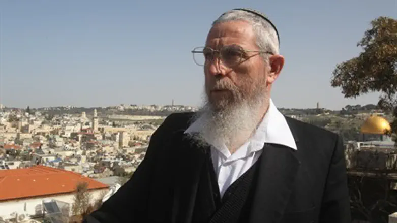 הרב ישראל אריאל