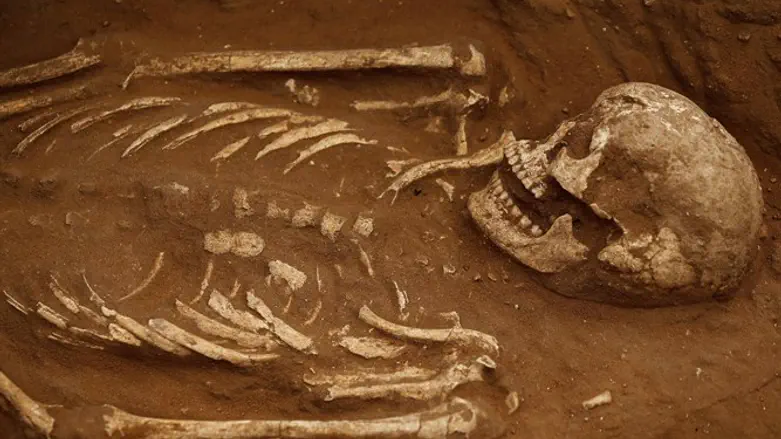 Skeleton excavated at ancient Philistine cemetery in southern Israel